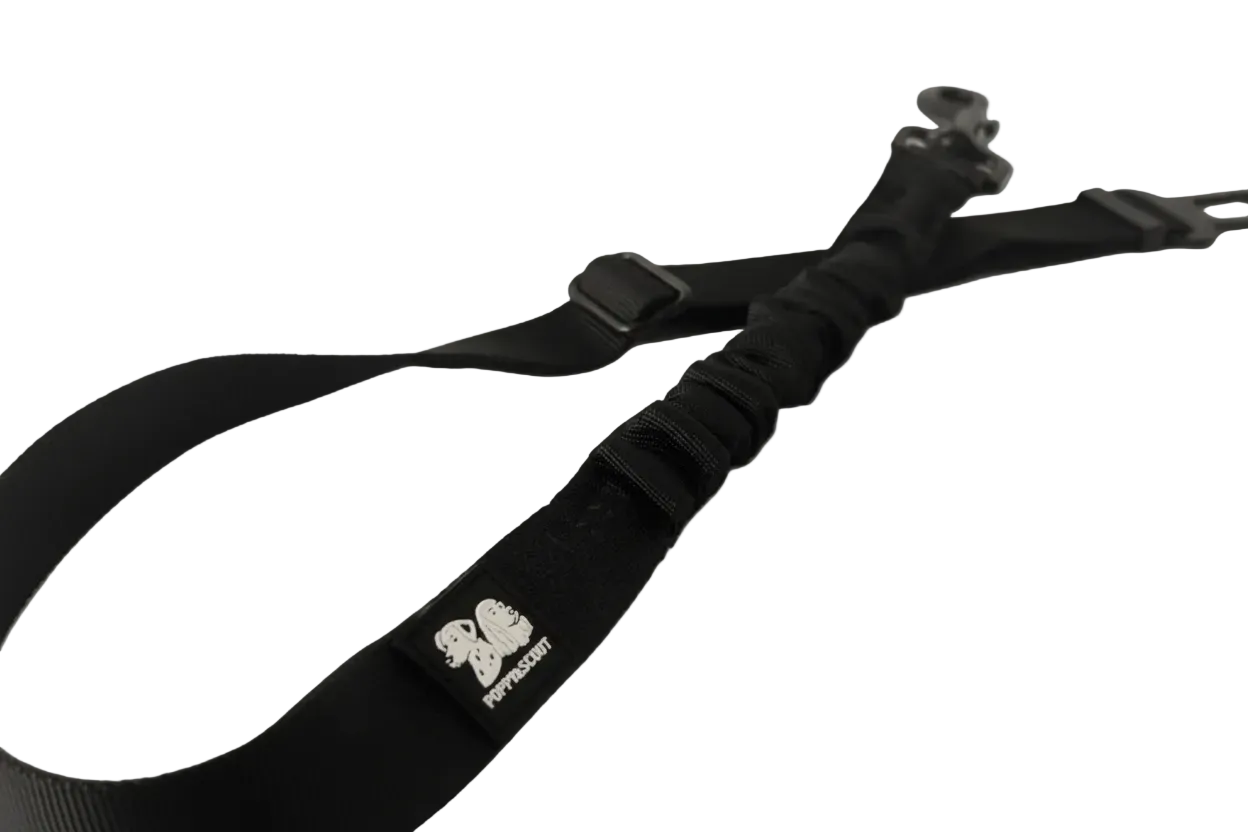 Dog Seat Belt