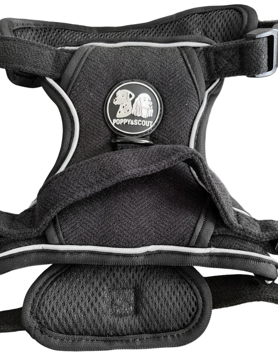 Poppy&Scout -Strong but soft harness