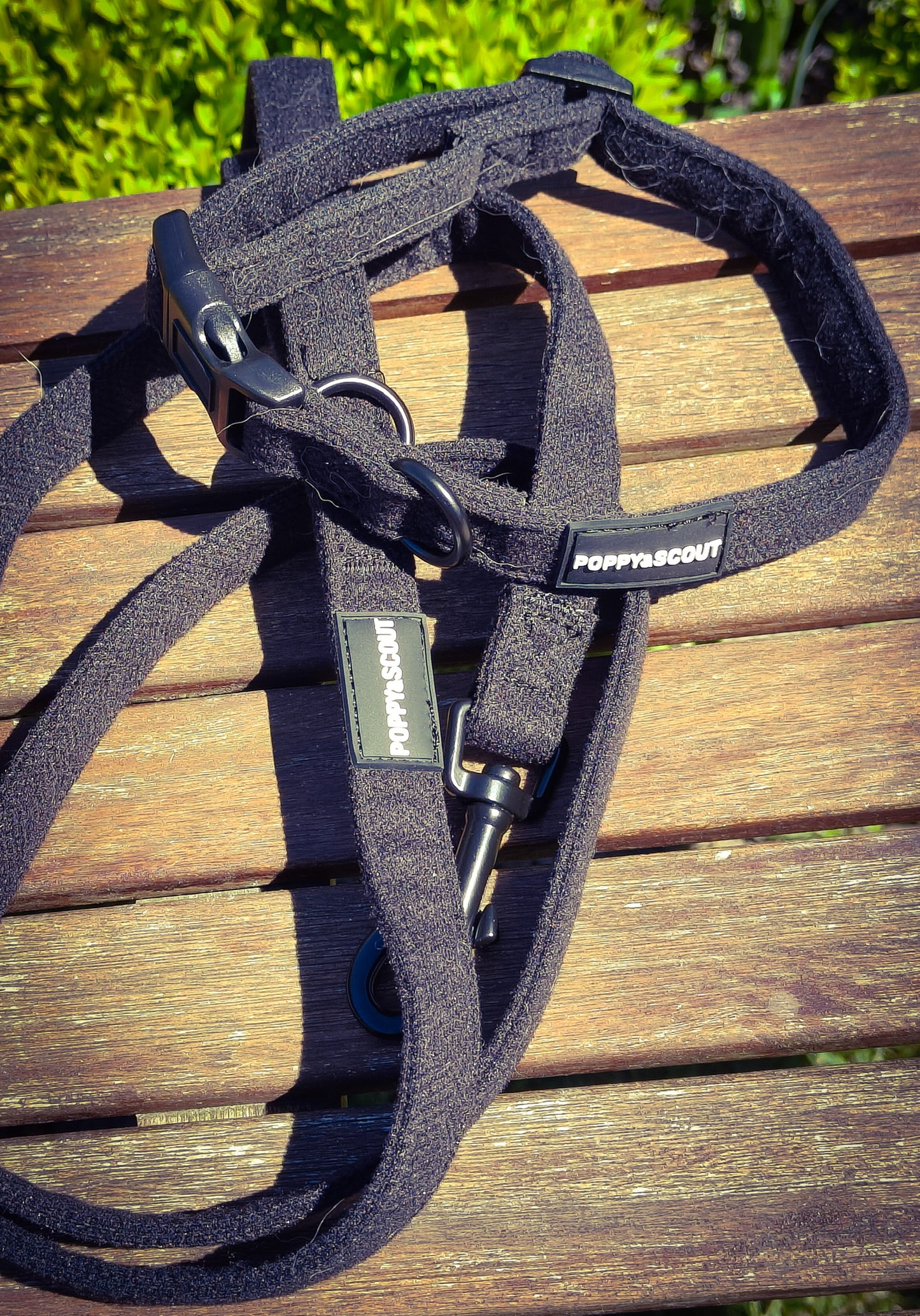 Poppy&Scout Dog collar