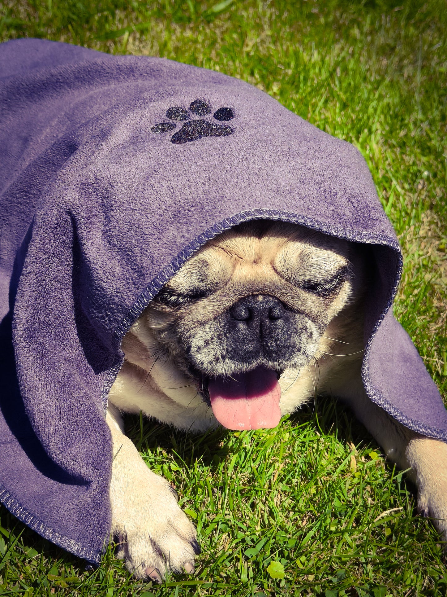 Microfibre dog towel - unbranded