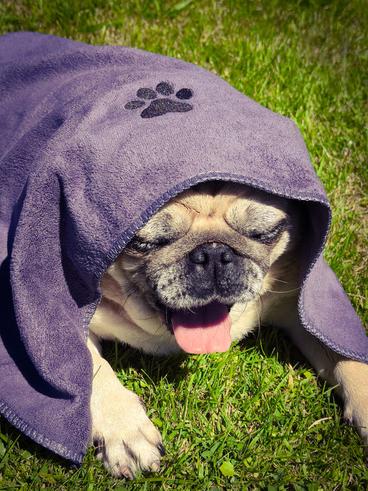 Microfibre dog towel - unbranded