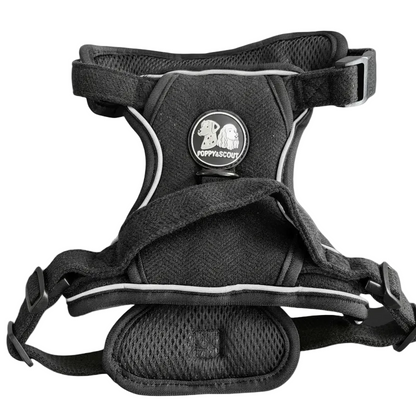 Harness